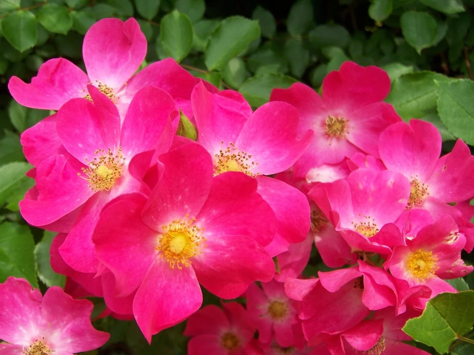 100_1810.jpg?type=w1