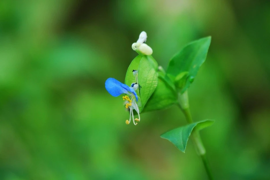 grass-4524847_1920.jpg?type=w1