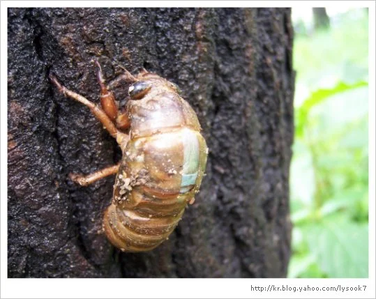 img_33_461_7.jpg?type=w1