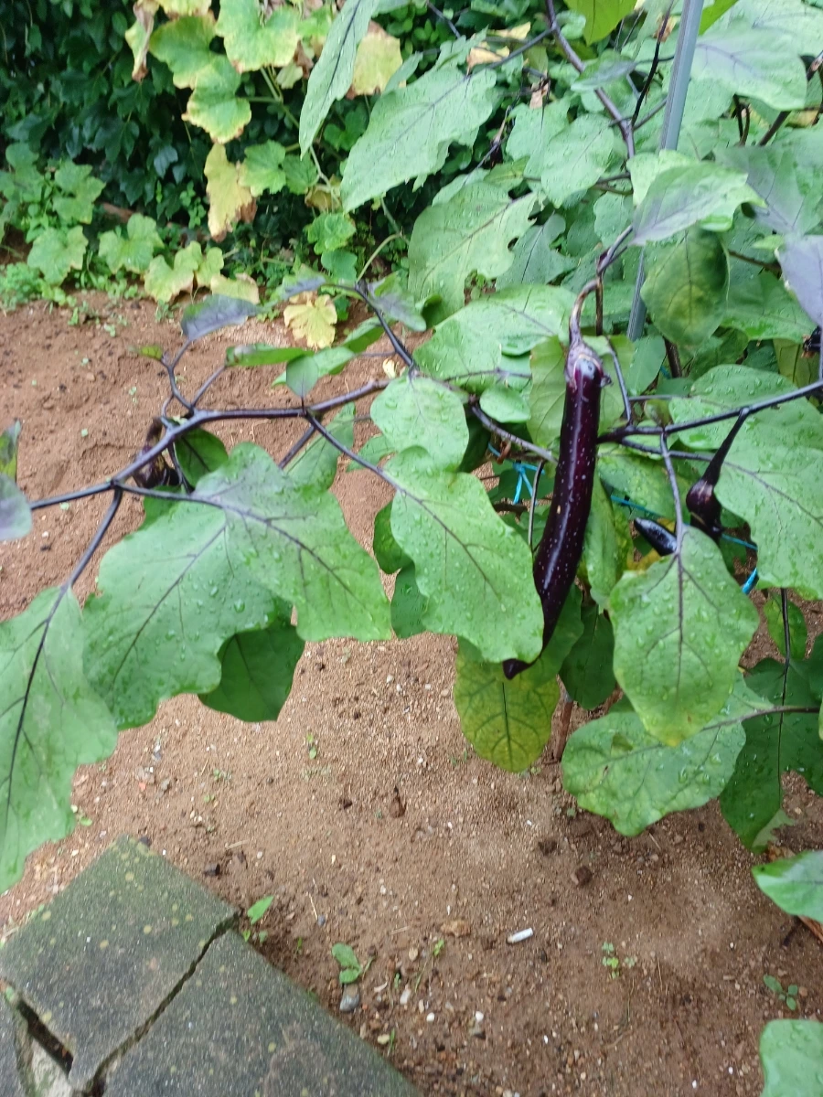 20220829%EF%BC%BF135800.jpg?type=w1