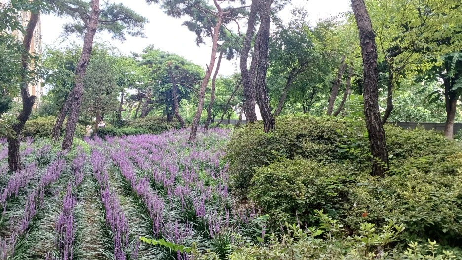 20220814_152048.jpg?type=w1