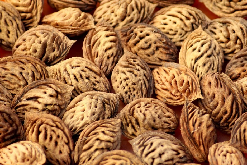 stone-4135245_1920.jpg?type=w1