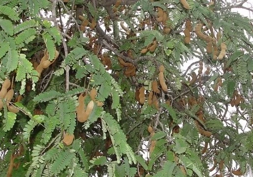 %EC%9B%B9_%EC%BA%A1%EC%B2%98_8-12-2022_155037_blog.naver.com.jpeg?typew1