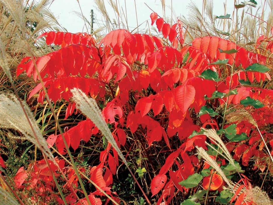 WLI65_t_%EC%9A%B0%EB%A6%AC_%EC%83%9D%ED%99%9C_%EC%86%8D%EC%9D%98_%EB%82%98%EB%AC%B4.jpg?type=w1