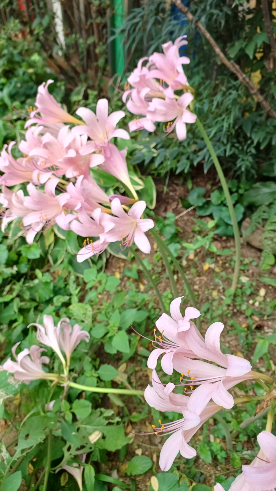 20220818%EF%BC%BF152959.jpg?type=w1