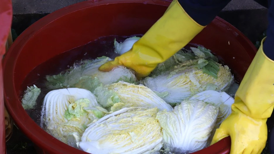 korea-5798138_1920.jpg?typew1