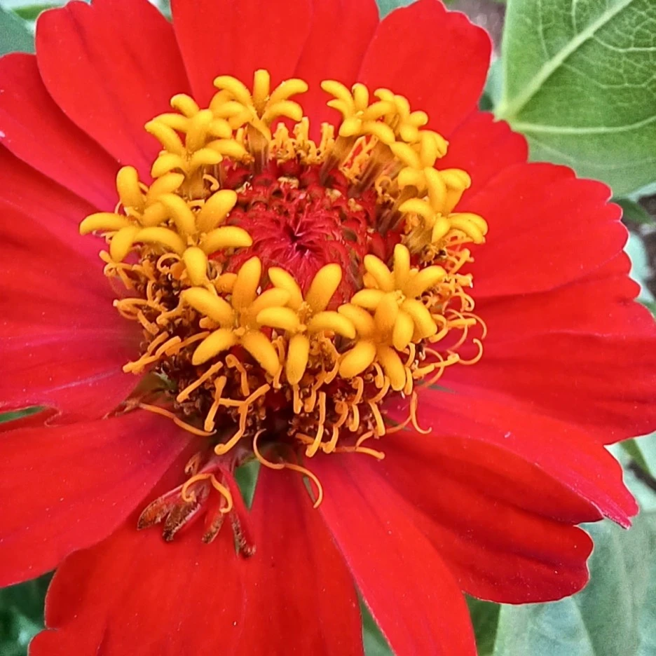 20220618_191456.jpg?type=w1