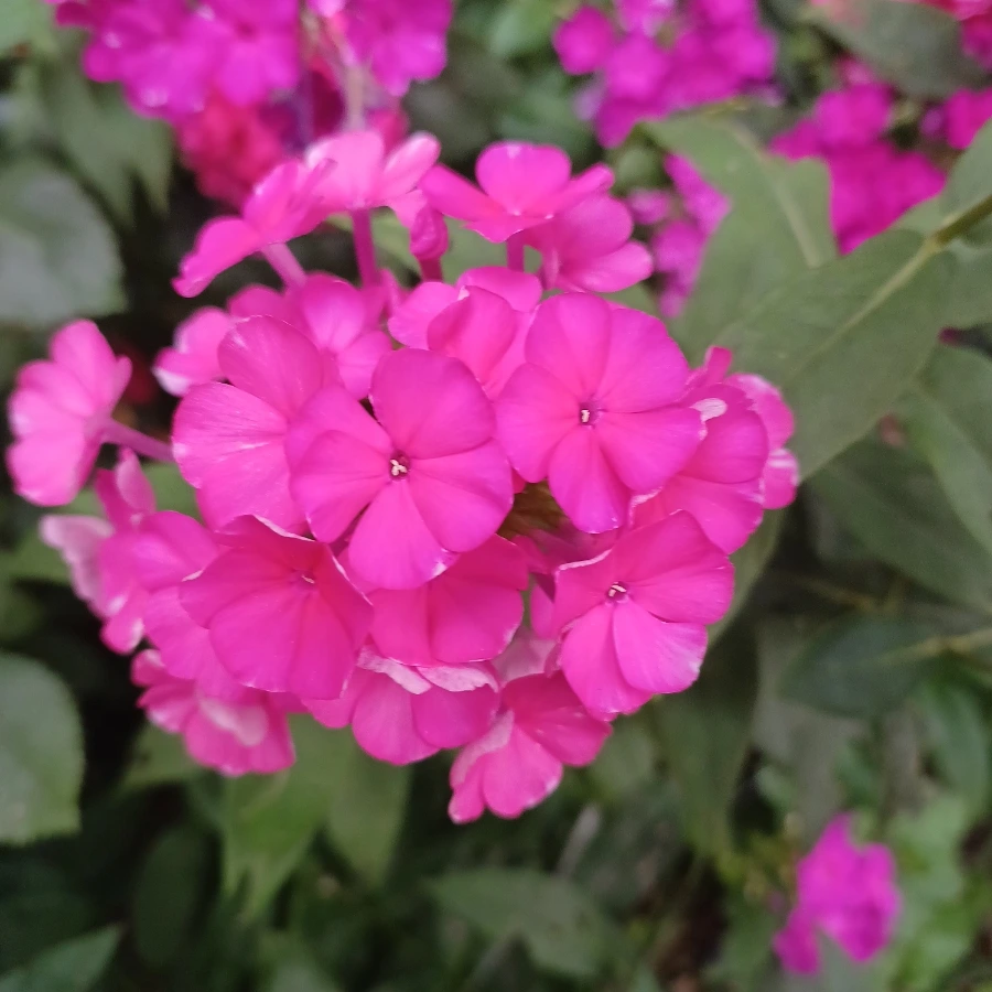 20220719%EF%BC%BF183310.jpg?type=w1