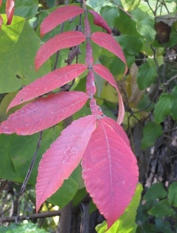 %EC%9B%B9_%EC%BA%A1%EC%B2%98_14-11-2022_131642_blog.naver.com.jpeg?type=w1