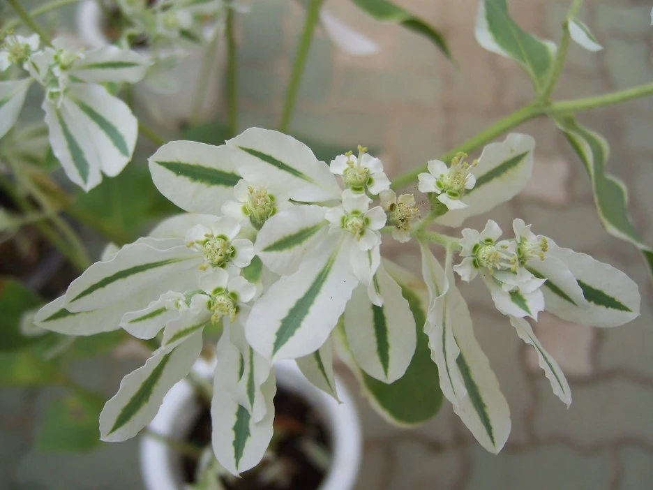 100_7096.jpg?type=w1