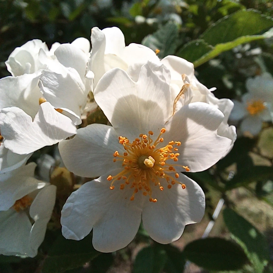 20220512%EF%BC%BF105910.jpg?type=w1