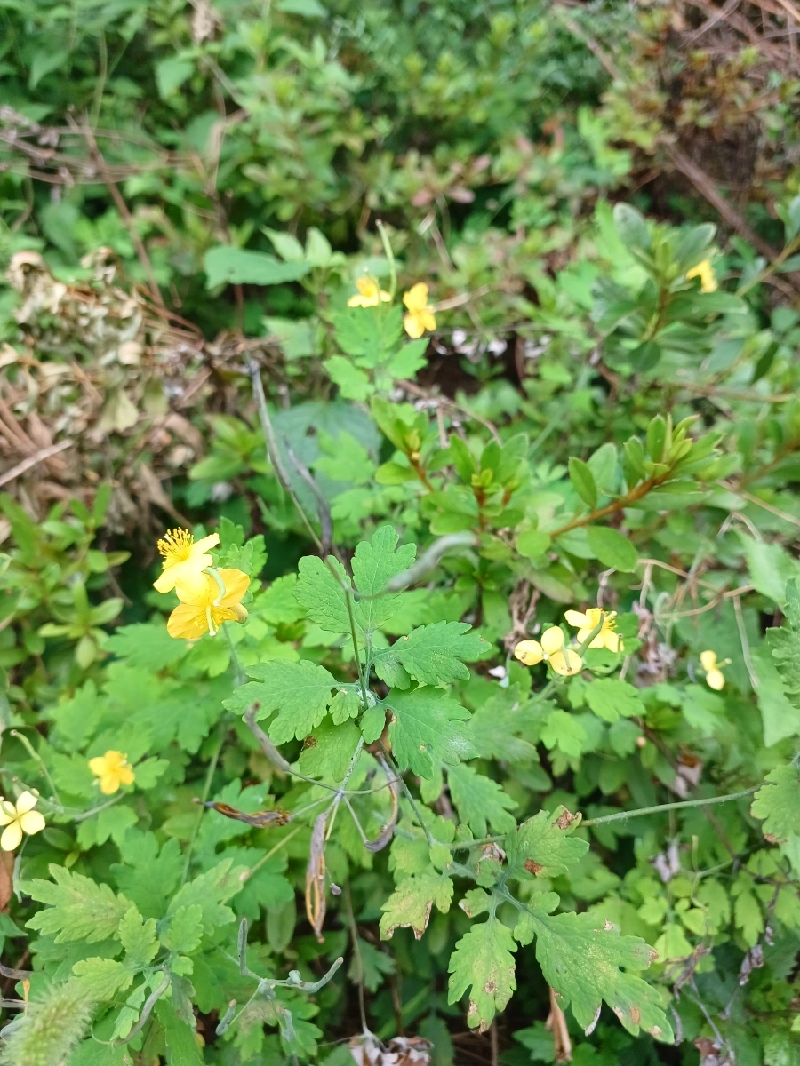 20220912%EF%BC%BF104404.jpg?type=w1