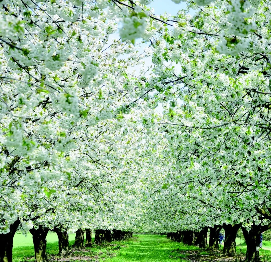 SE-11de379b-49ef-4b6b-8be6-849c87758652.jpg?type=w1