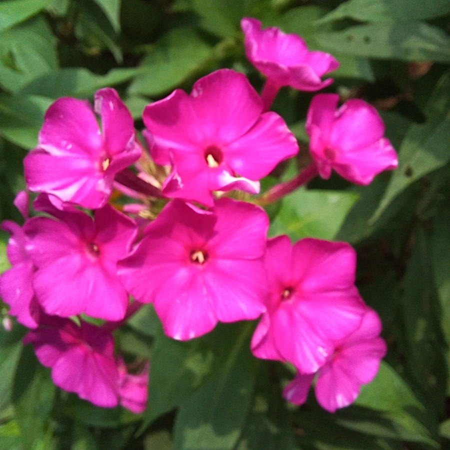 20220705%EF%BC%BF123257.jpg?type=w1