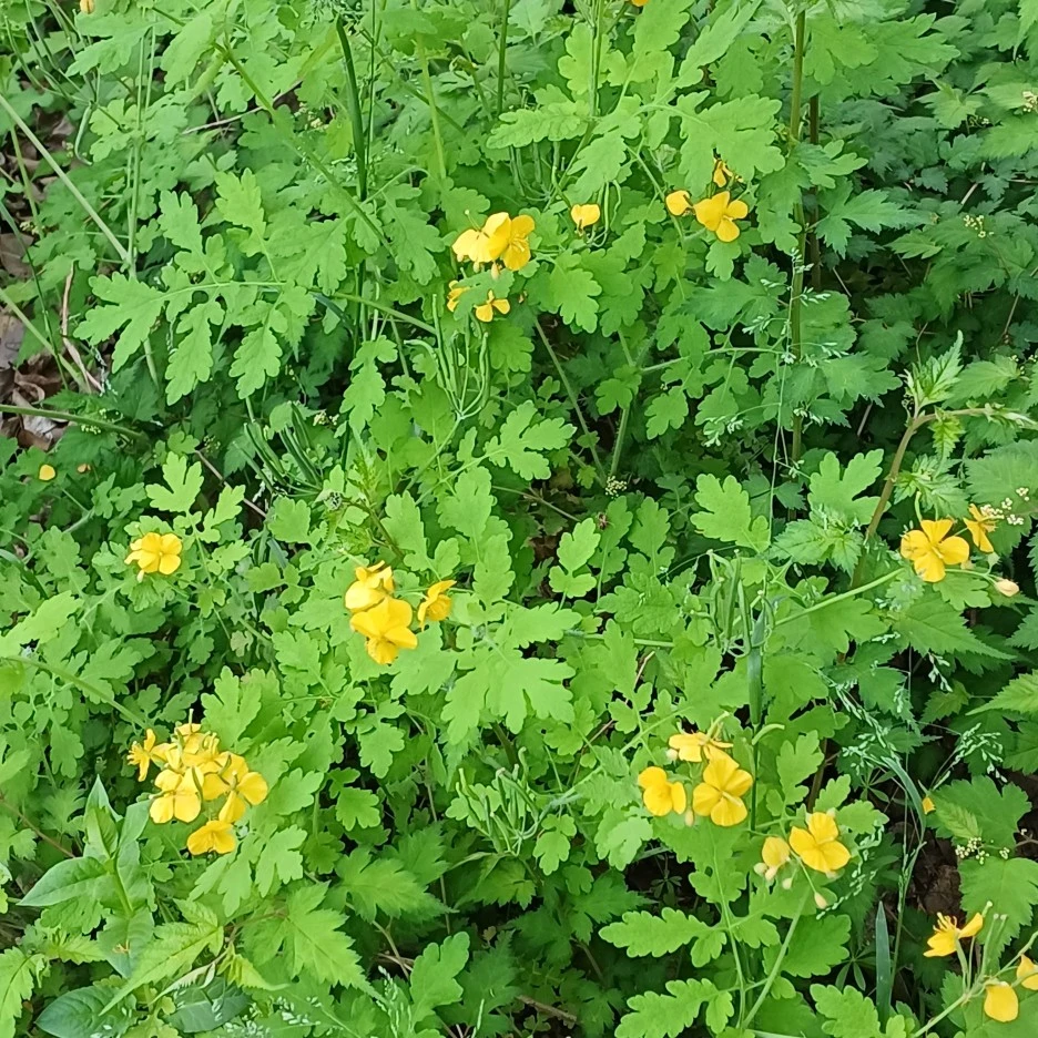 20220503_171854.jpg?type=w1