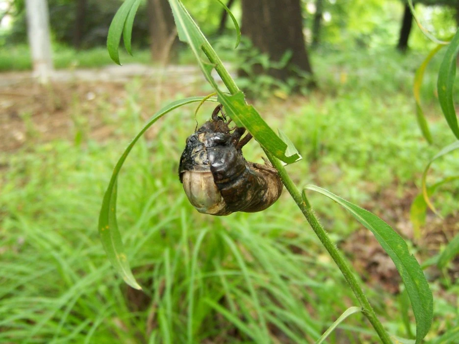 %EB%A7%A4%EB%AF%B8%ED%83%88%EB%B0%9412.jpg?type=w1