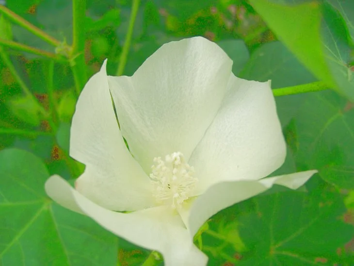 result_2006_8_1_16_42_55_171_23-lysook7.jpg?type=w1