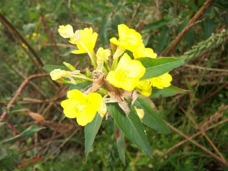 result_2006_8_6_12_16_49_265_12-lysook7.jpg?type=w1