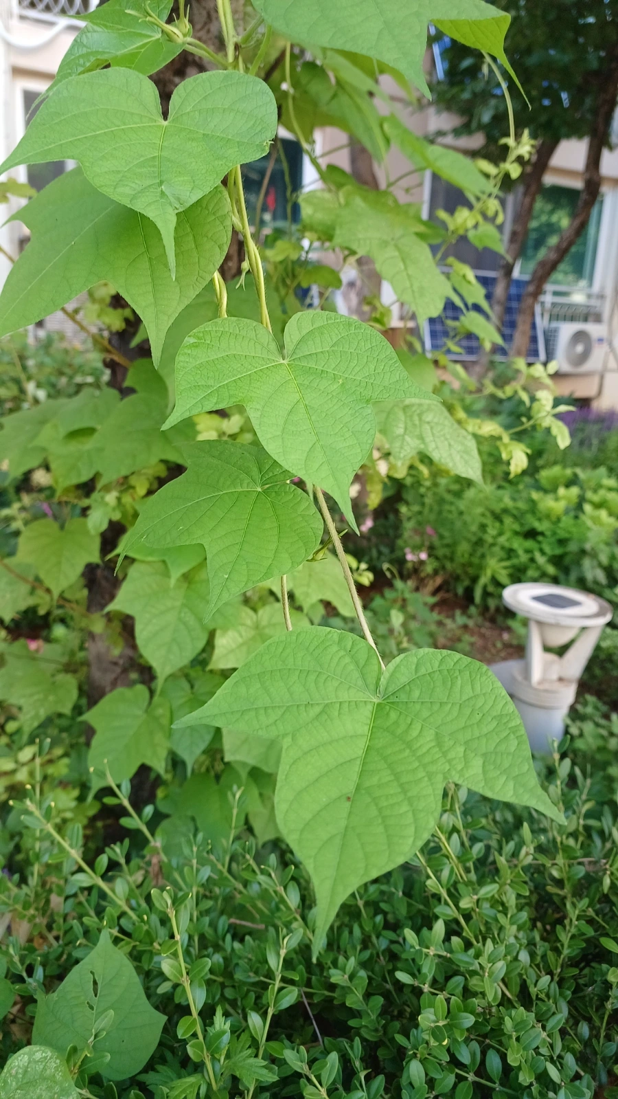 20220816%EF%BC%BF162348.jpg?type=w1