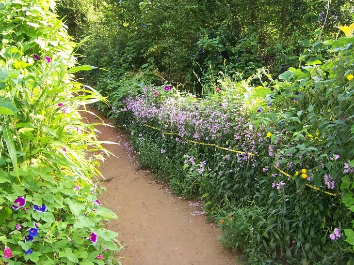 result_2006_7_3_11_44_18_984_12-lysook7.jpg?type=w1