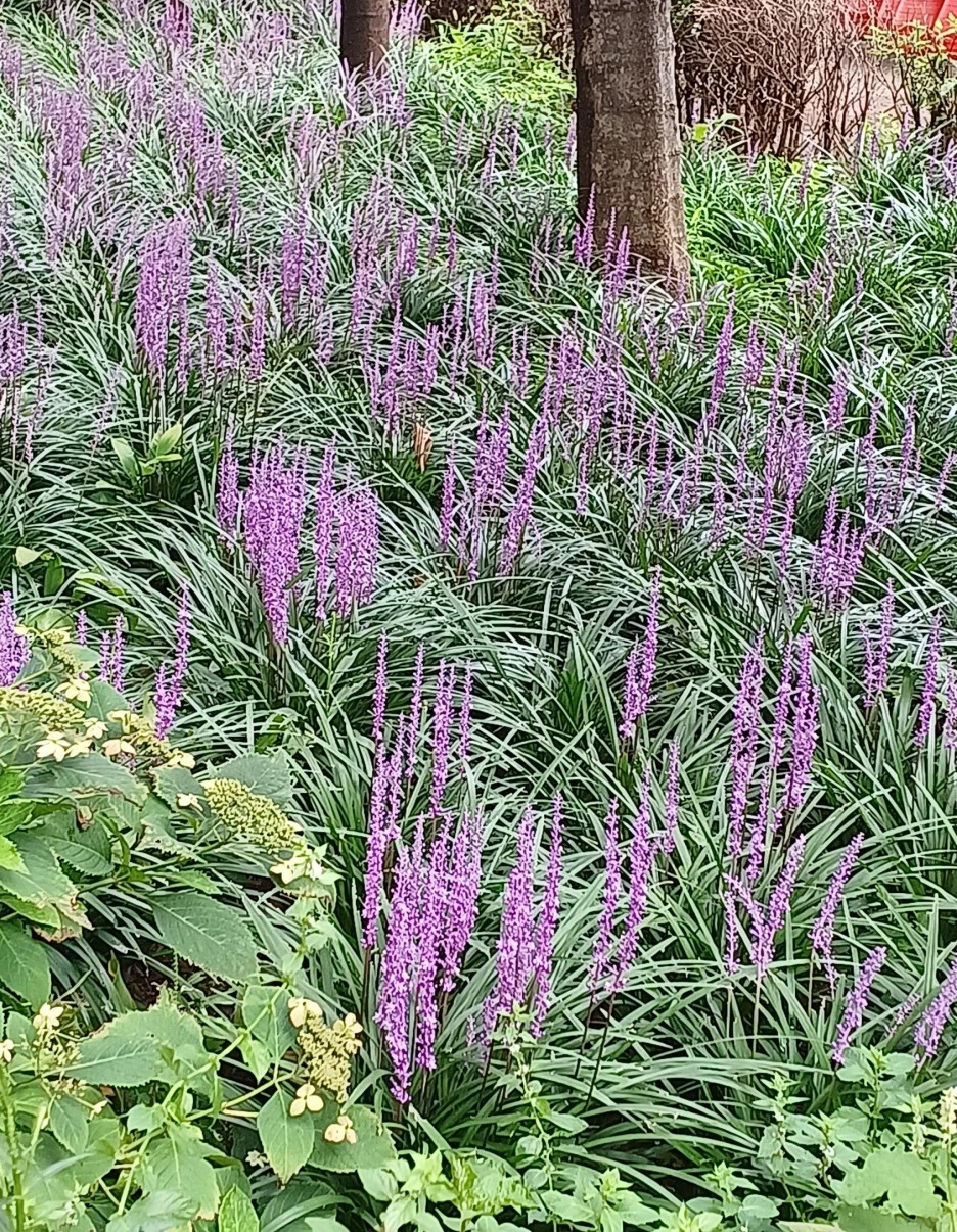 SE-3ef3a1f4-e47d-4c97-9658-6b9c3ef4b654.jpg?type=w1