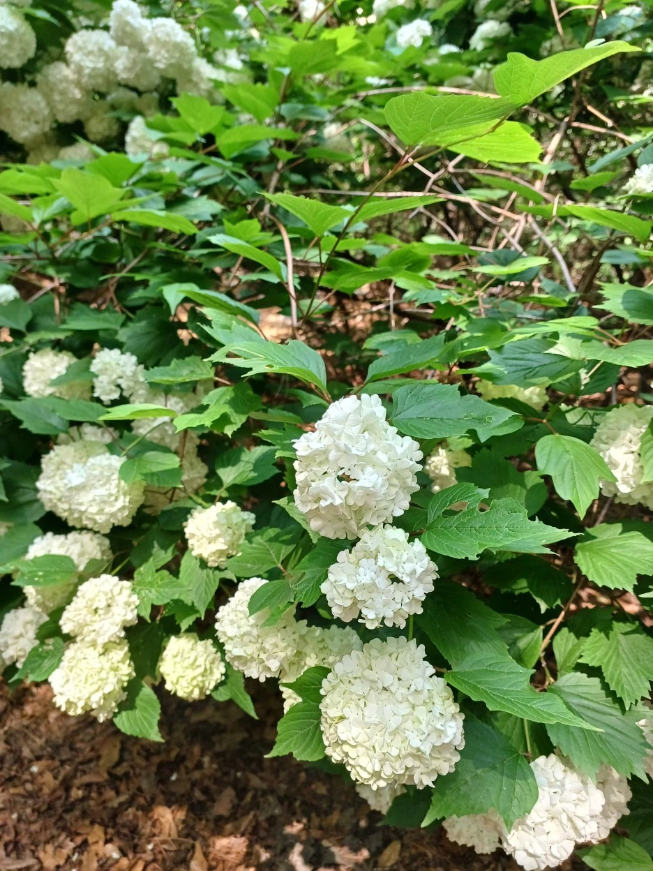 20230514_102657.jpg?type=w1