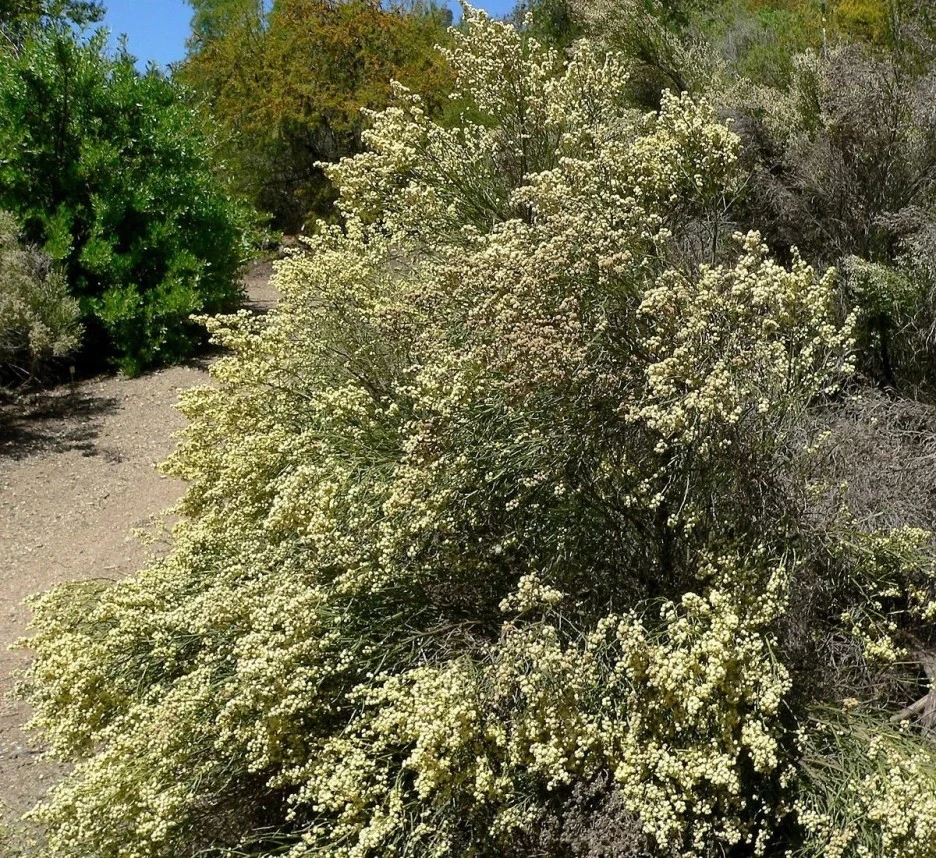 1638140421319.jpg?type=w1