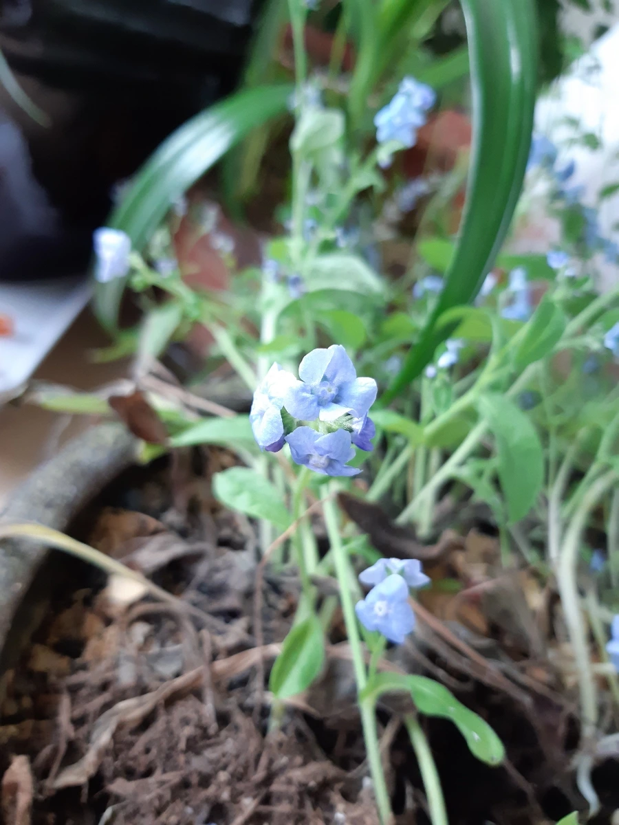 se%EF%BC%BFone%EF%BC%BF20211215%EF%BC%BF140836%EF%BC%BFa.jpg?type=w1