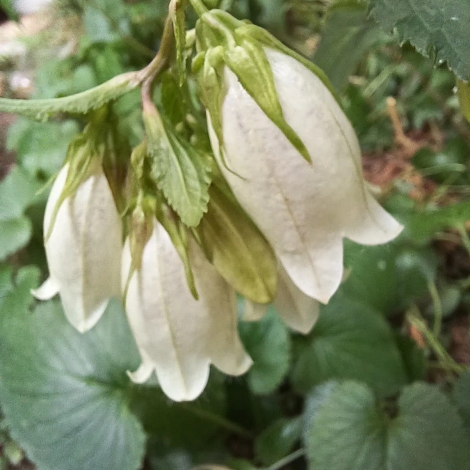 20220529_083135.jpg?type=w1