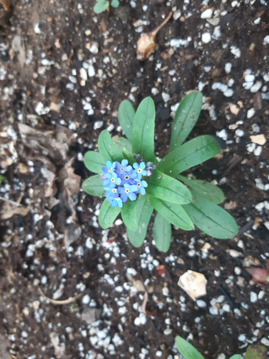 20220417_065513.jpg?type=w1