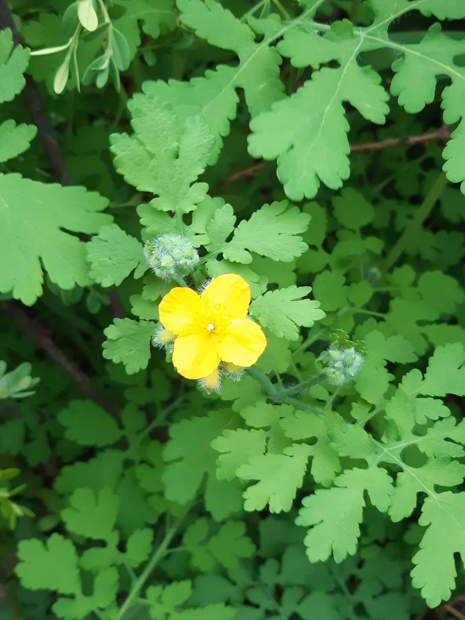 20220422_125806.jpg?type=w1