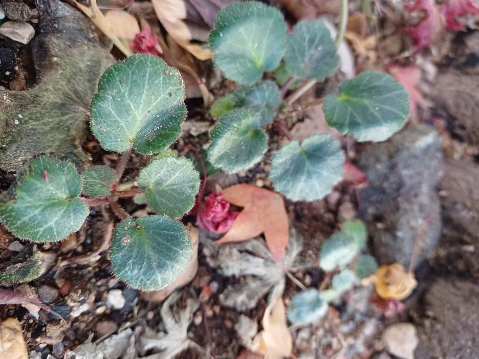 20221118_125727.jpg?type=w1