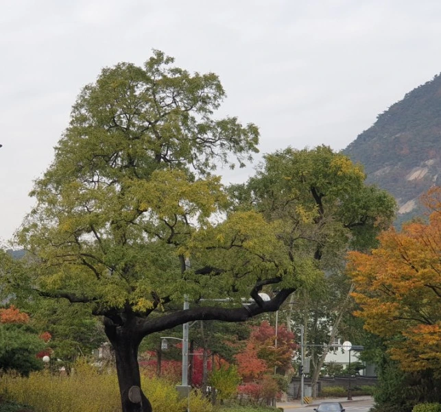 SE-594833d7-fad6-42f2-aff7-b1db01d8ff13.jpg?type=w1