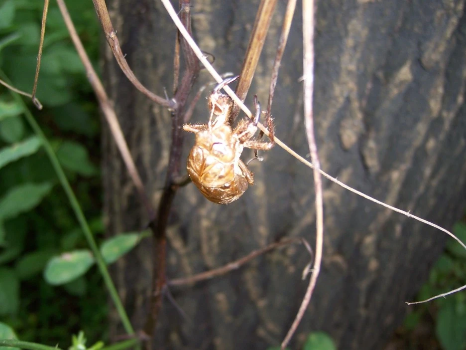 100_4131.jpg?type=w1