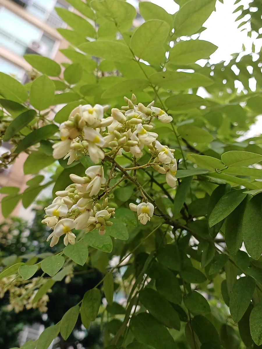 20220721%EF%BC%BF131748.jpg?type=w1