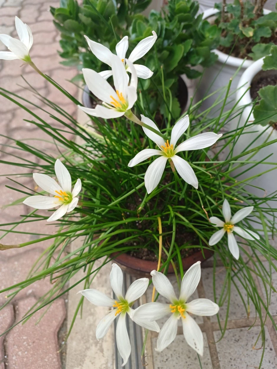 20220920_125229.jpg?type=w1