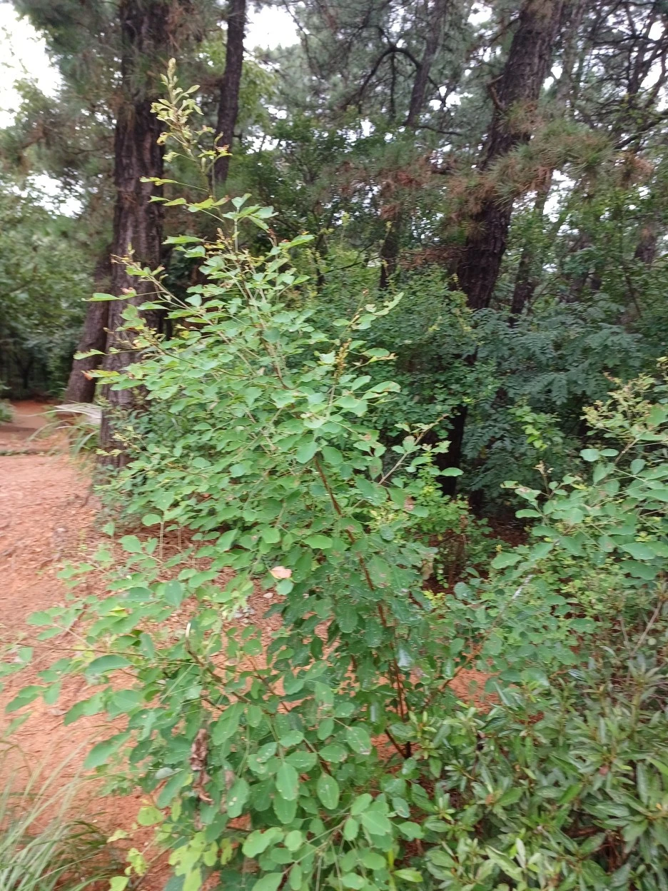 20220829_134627.jpg?type=w1