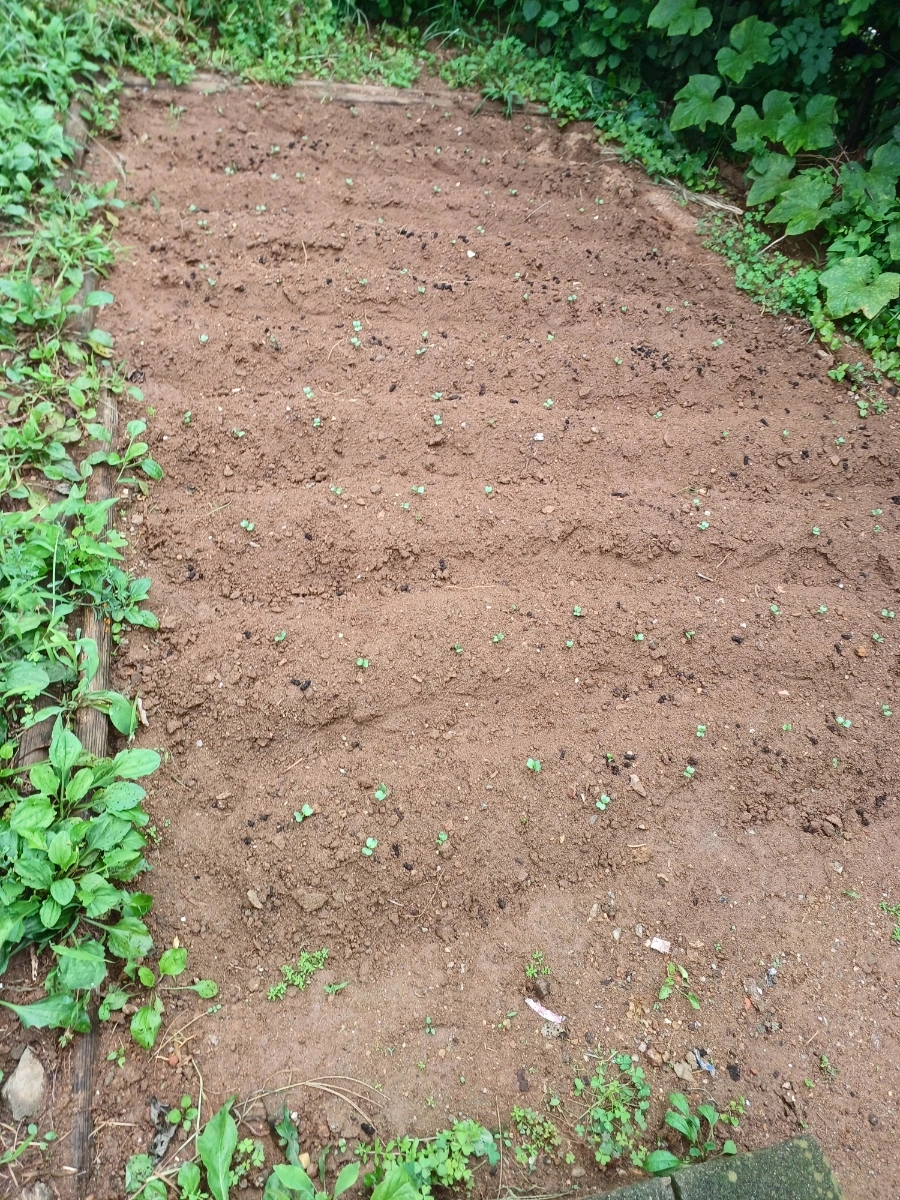 20220829%EF%BC%BF135755.jpg?type=w1