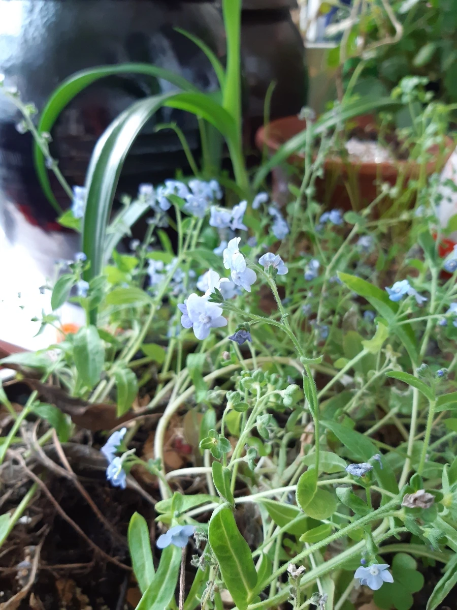 se%EF%BC%BFone%EF%BC%BF20211215%EF%BC%BF140748%EF%BC%BFa.jpg?type=w1