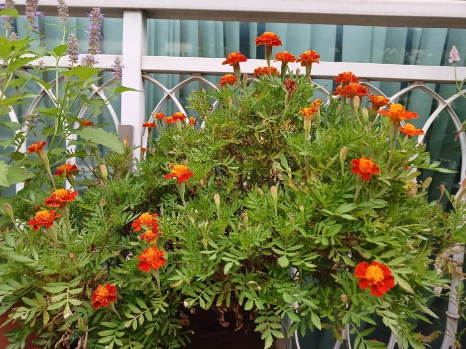 20220910_064221.jpg?type=w1