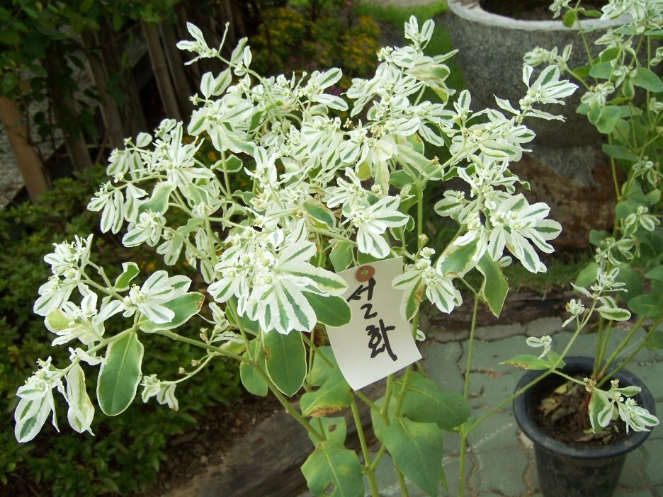 100_7095.jpg?type=w1