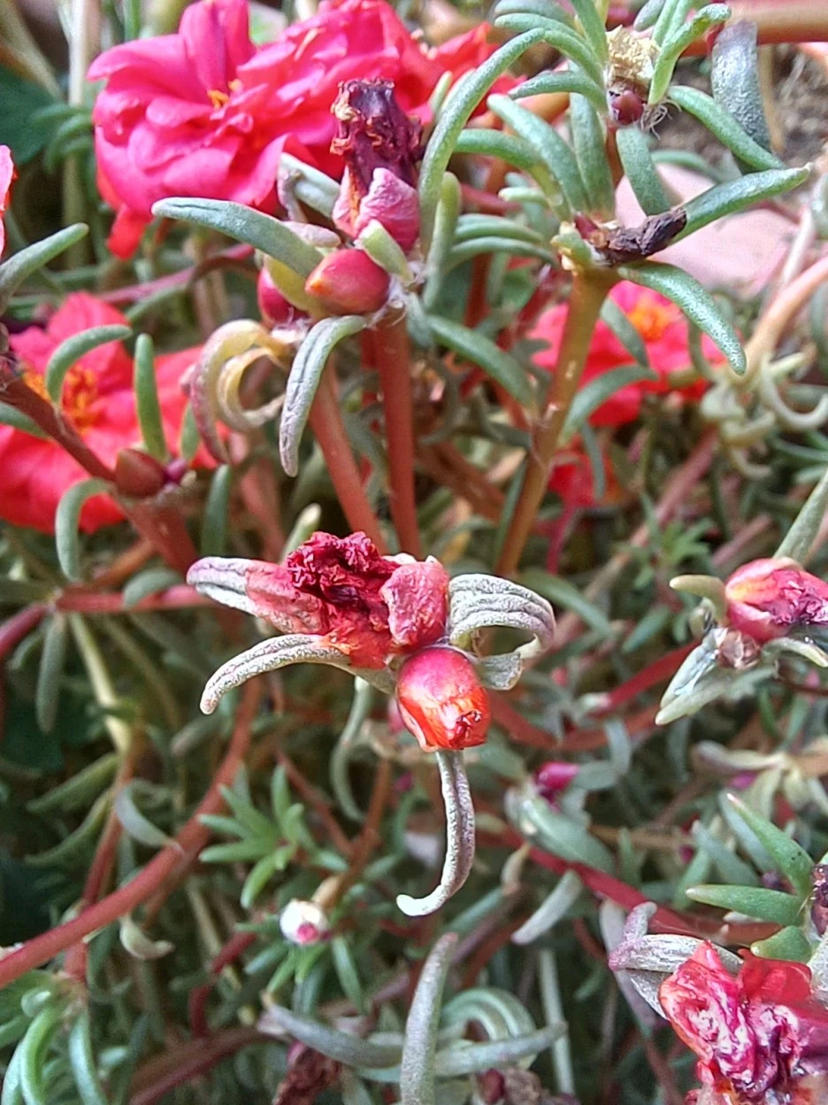 20221015_150247.jpg?type=w1