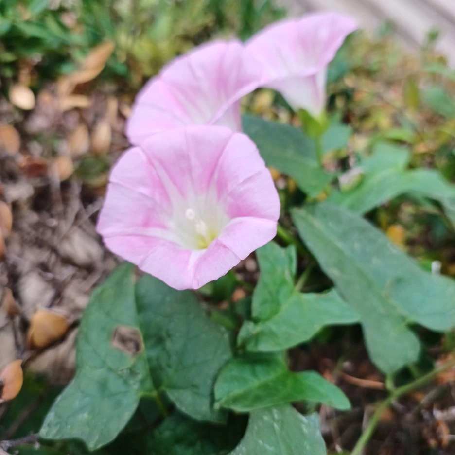 20220625_072257.jpg?type=w1