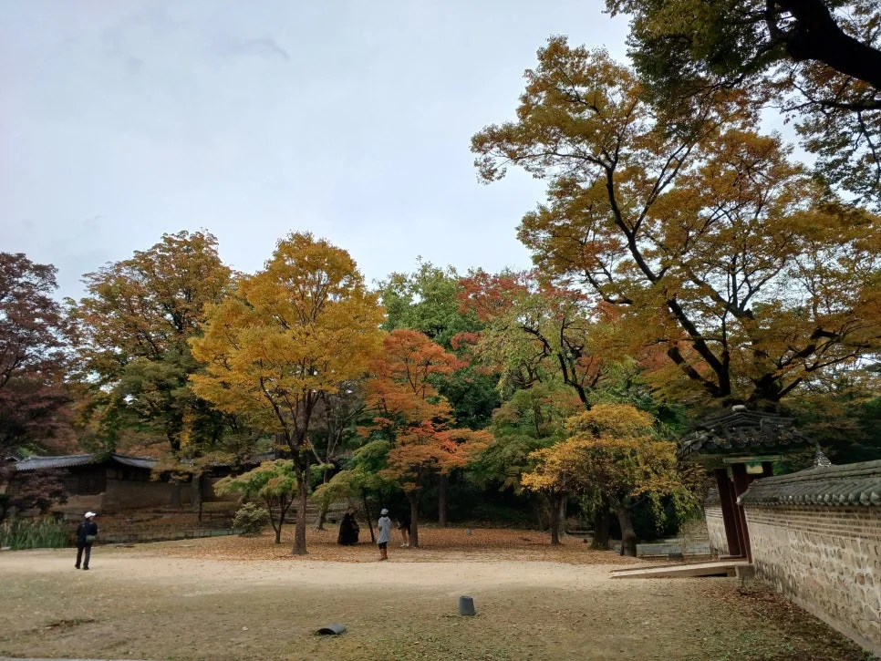 20241027_131051.jpg?type=w966