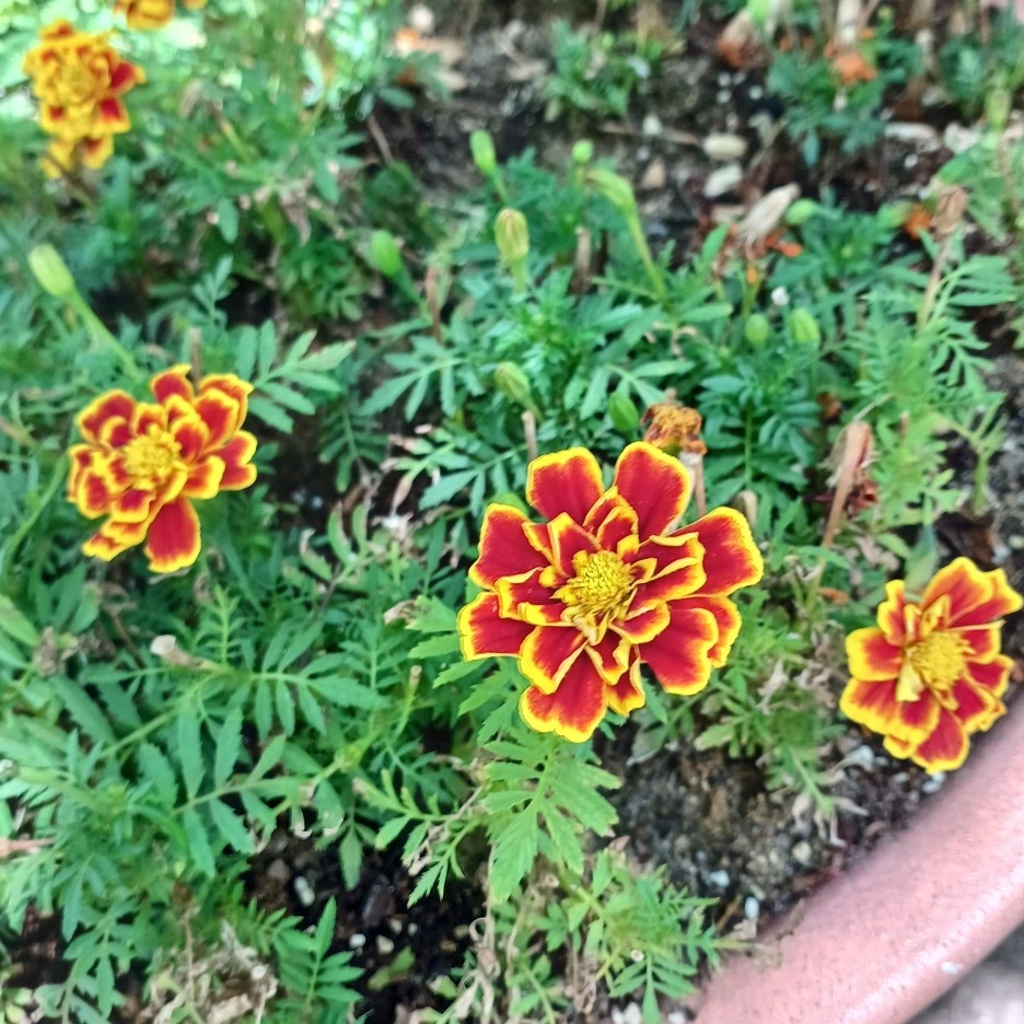 20220607_111640.jpg?type=w1