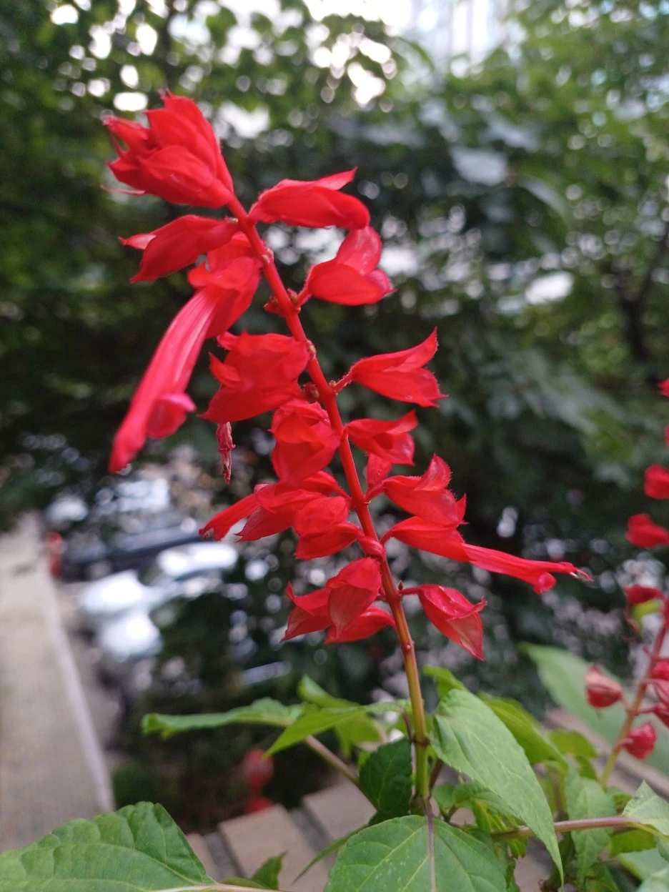 20220722_193939.jpg?type=w1