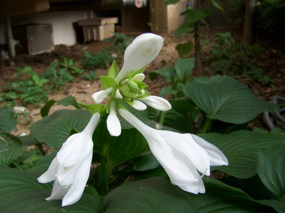 %EC%98%A5%EC%9E%A0%ED%99%942.jpg?type=w1