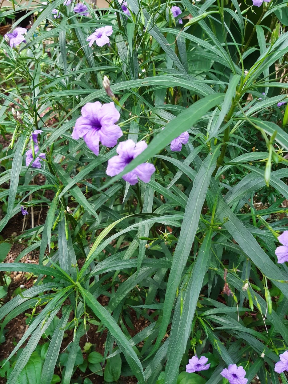 20200905_144623.jpg?type=w1