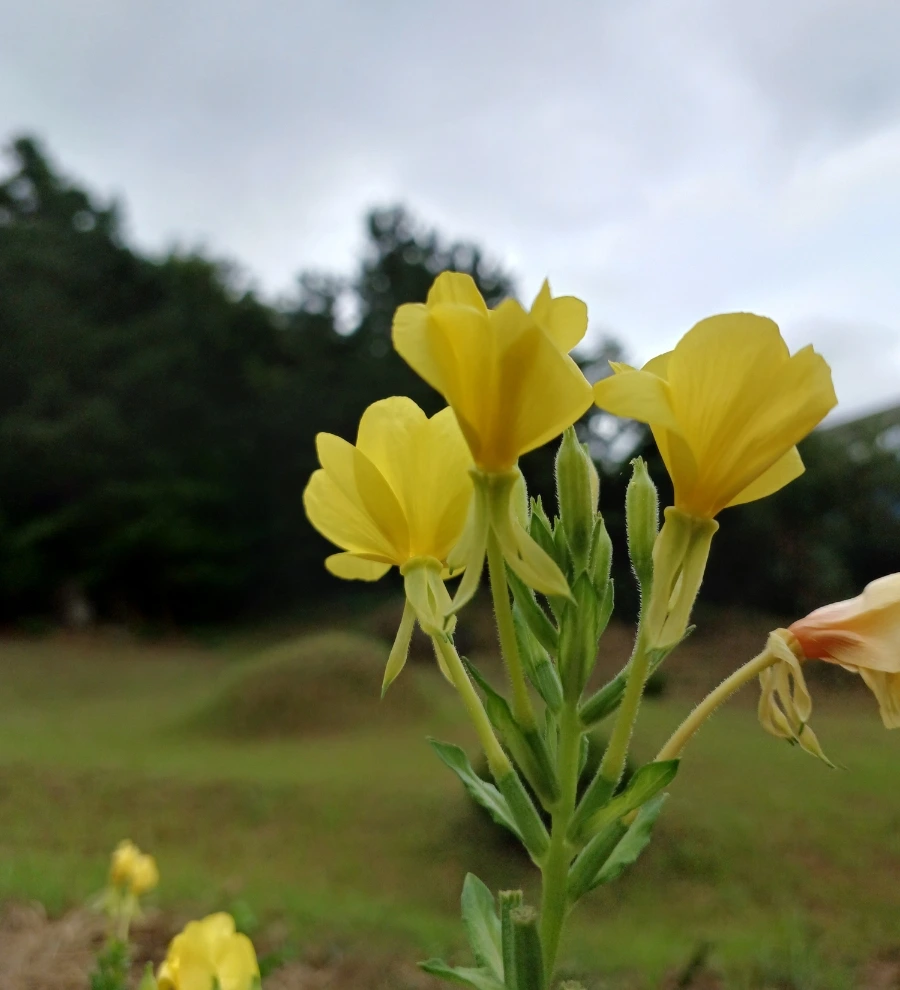 SE-09df3169-2c3e-11ed-aa67-6bdcda1f5d4f.jpg?type=w1