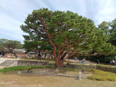 20241009_122330.jpg?type=w466